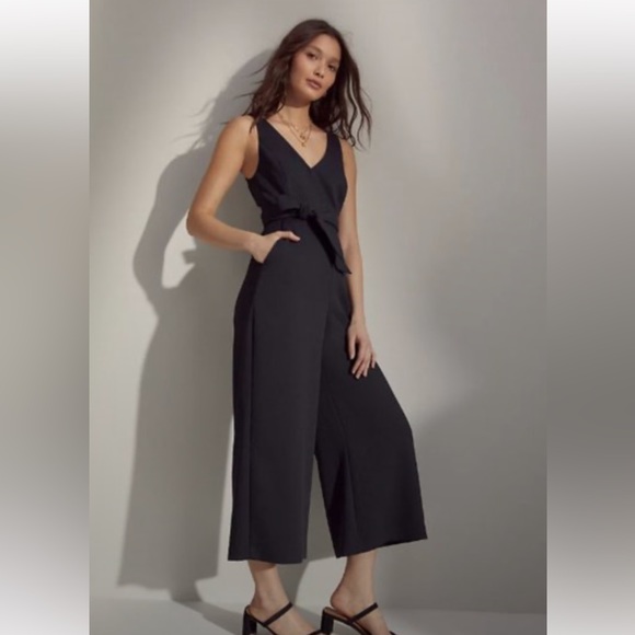 LAST CHANCE Wilfred Aritzia Ecoulement V Jumpsuit - Picture 1 of 11